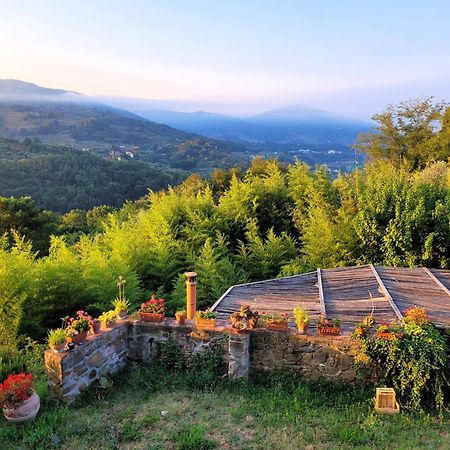 Agriturismo I Pitti Serravalle Pistoiese Exterior photo