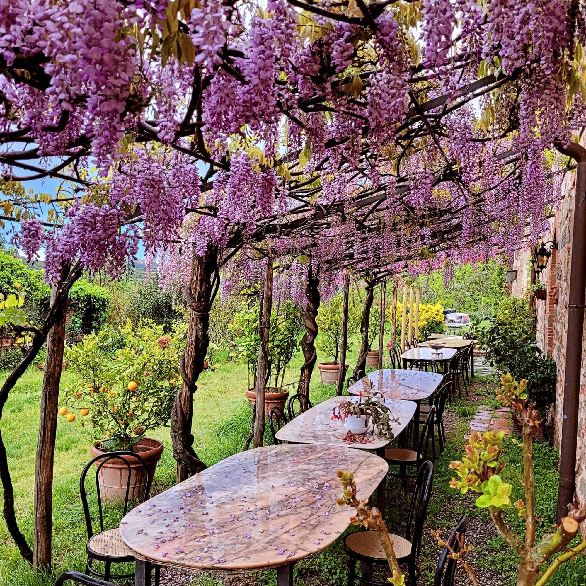 Agriturismo I Pitti Serravalle Pistoiese Exterior photo