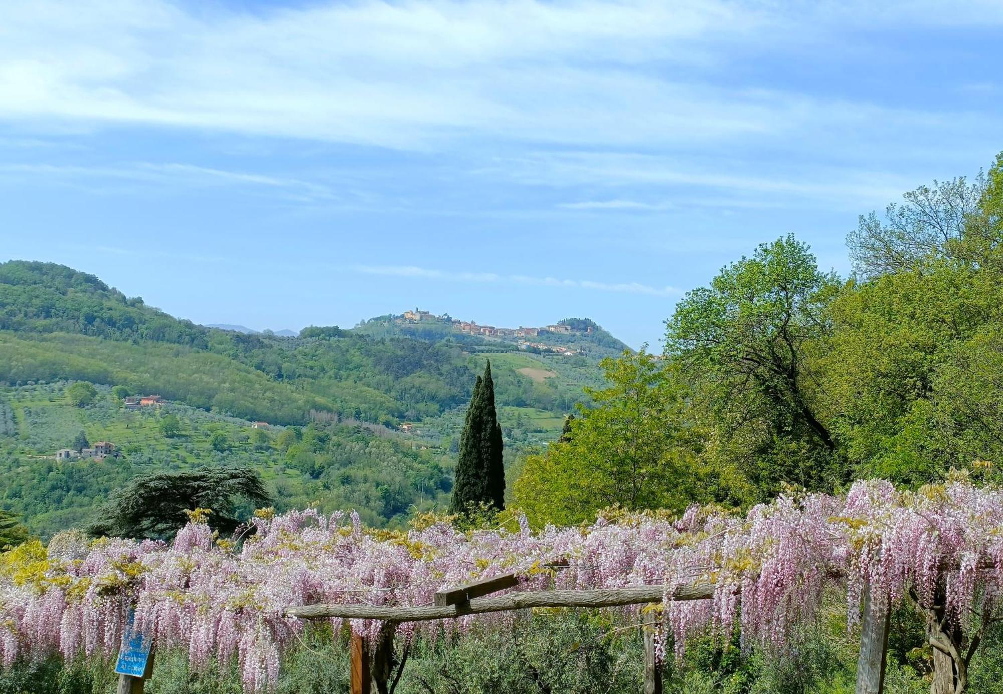 Agriturismo I Pitti Serravalle Pistoiese Exterior photo