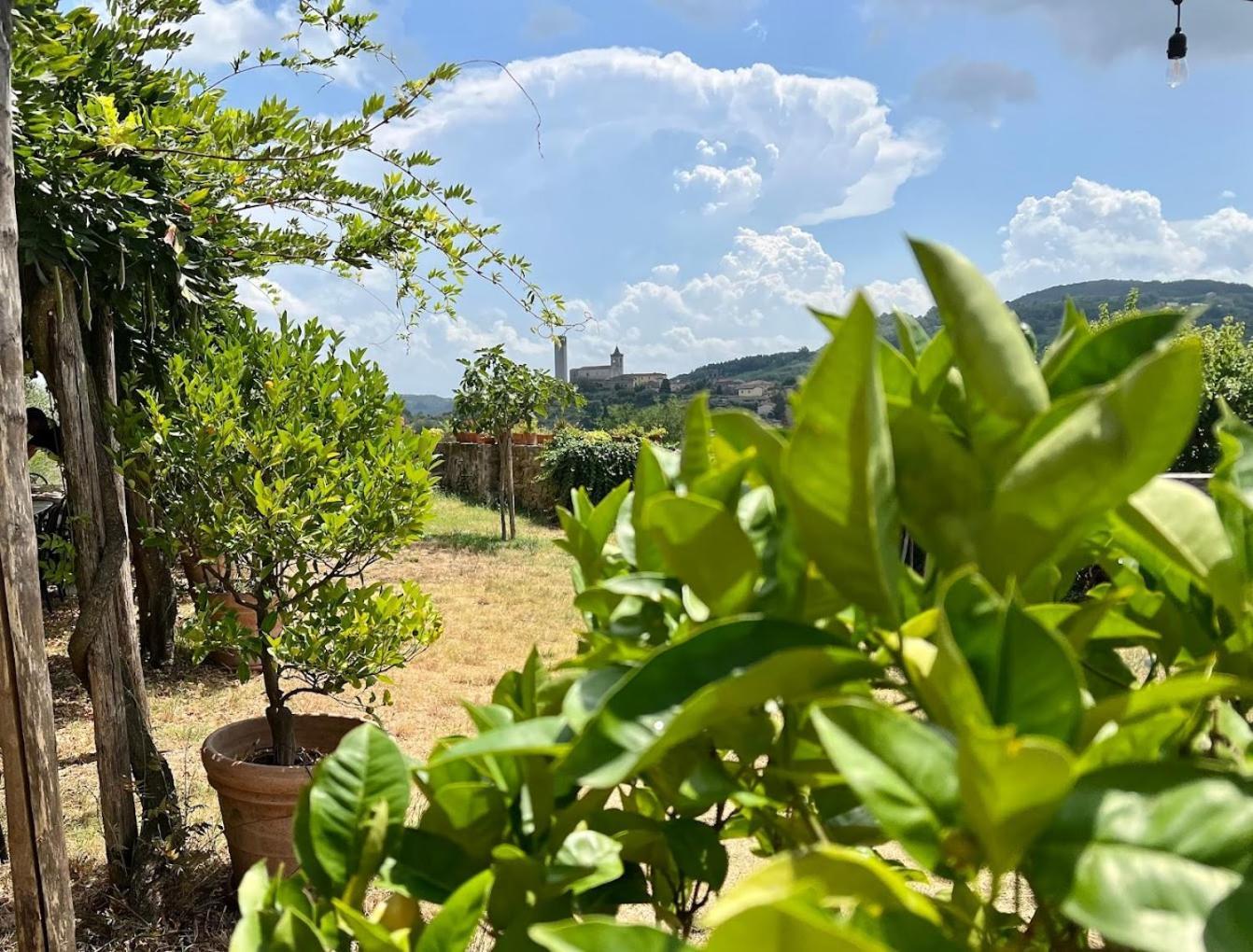 Agriturismo I Pitti Serravalle Pistoiese Exterior photo